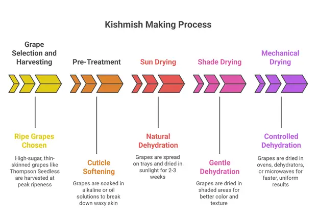 kishmish making process