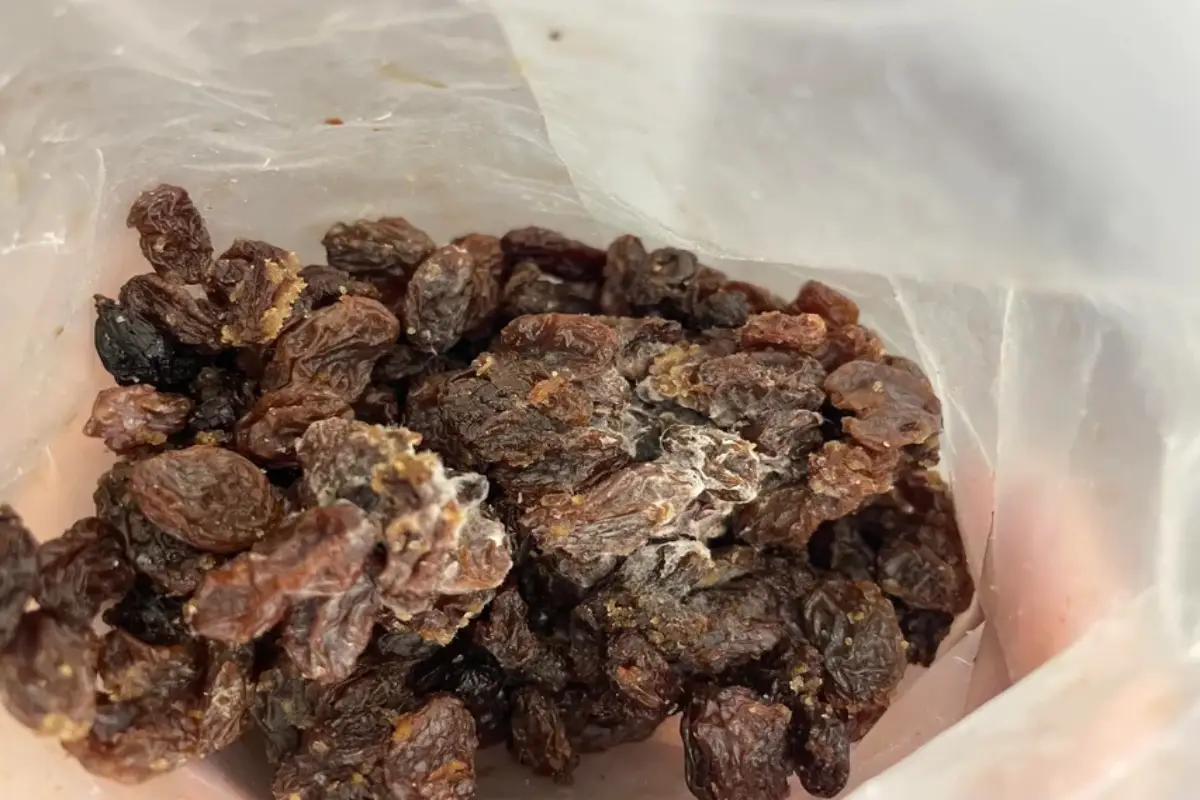 raisins expiry date