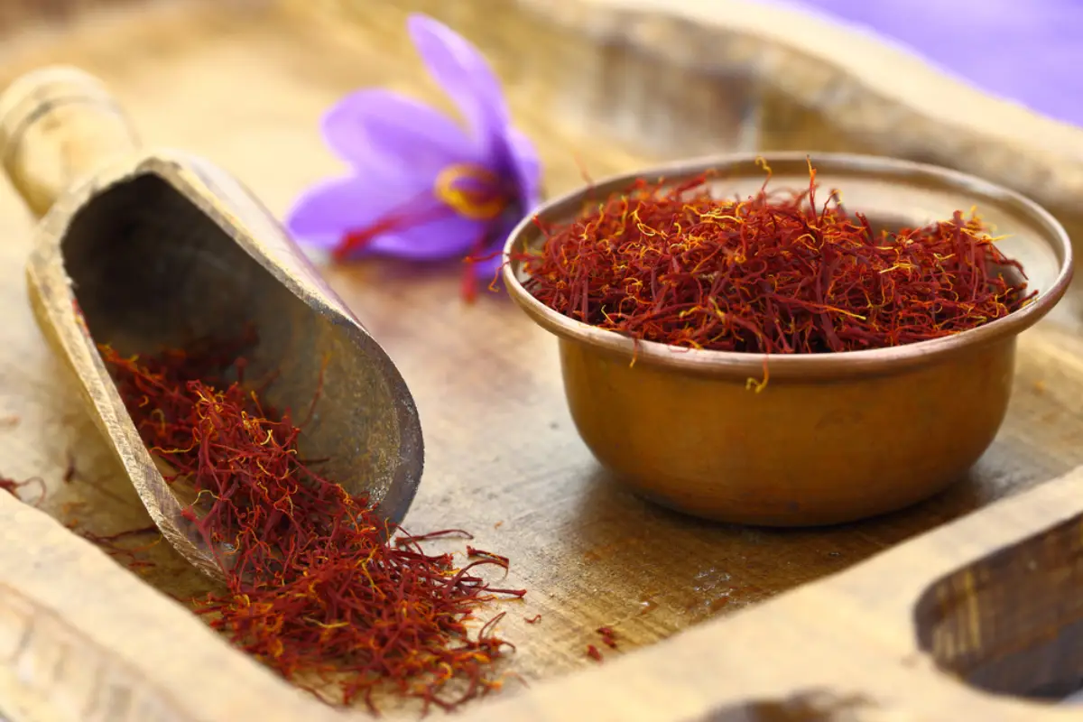 Persian saffron vs Spanish saffron