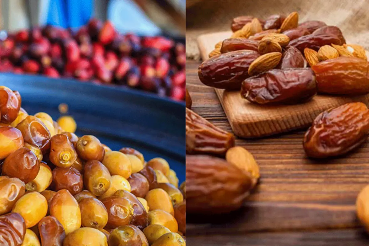 dry dates vs wet dates