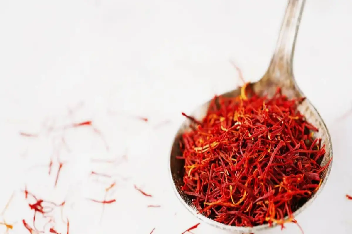 what is saffron taste like